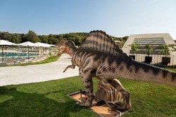 Vodni Paleo Park z dinozavri, dvema bazenoma in vročo kopeljo so predlani obogatili še z otroškim bazenom in širokim toboganom.